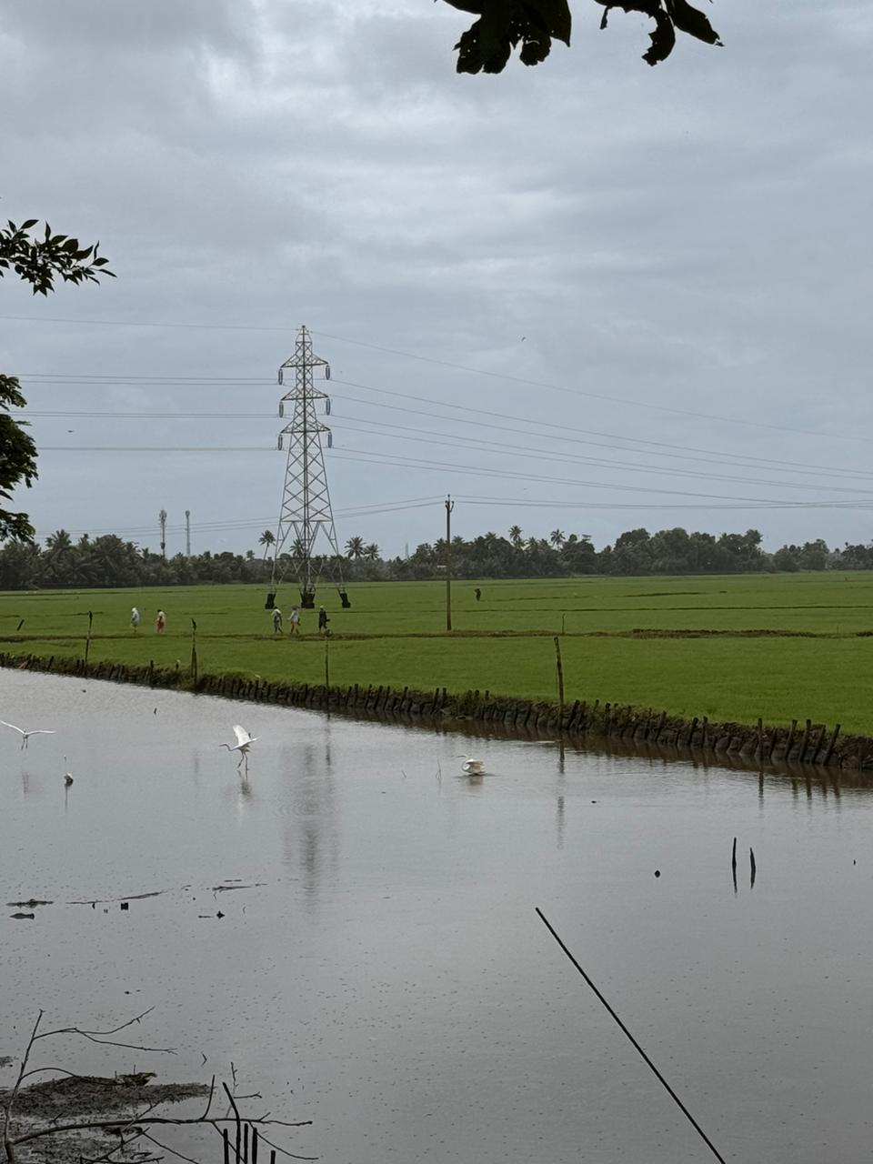 A C Road