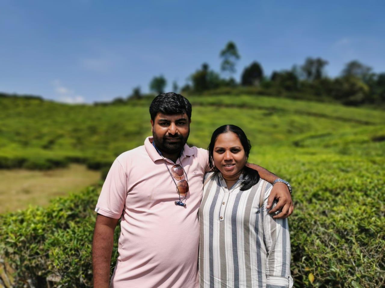 tea estate in munnar