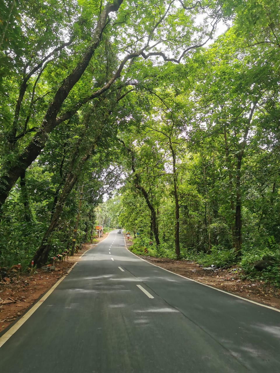 Ranni forest route