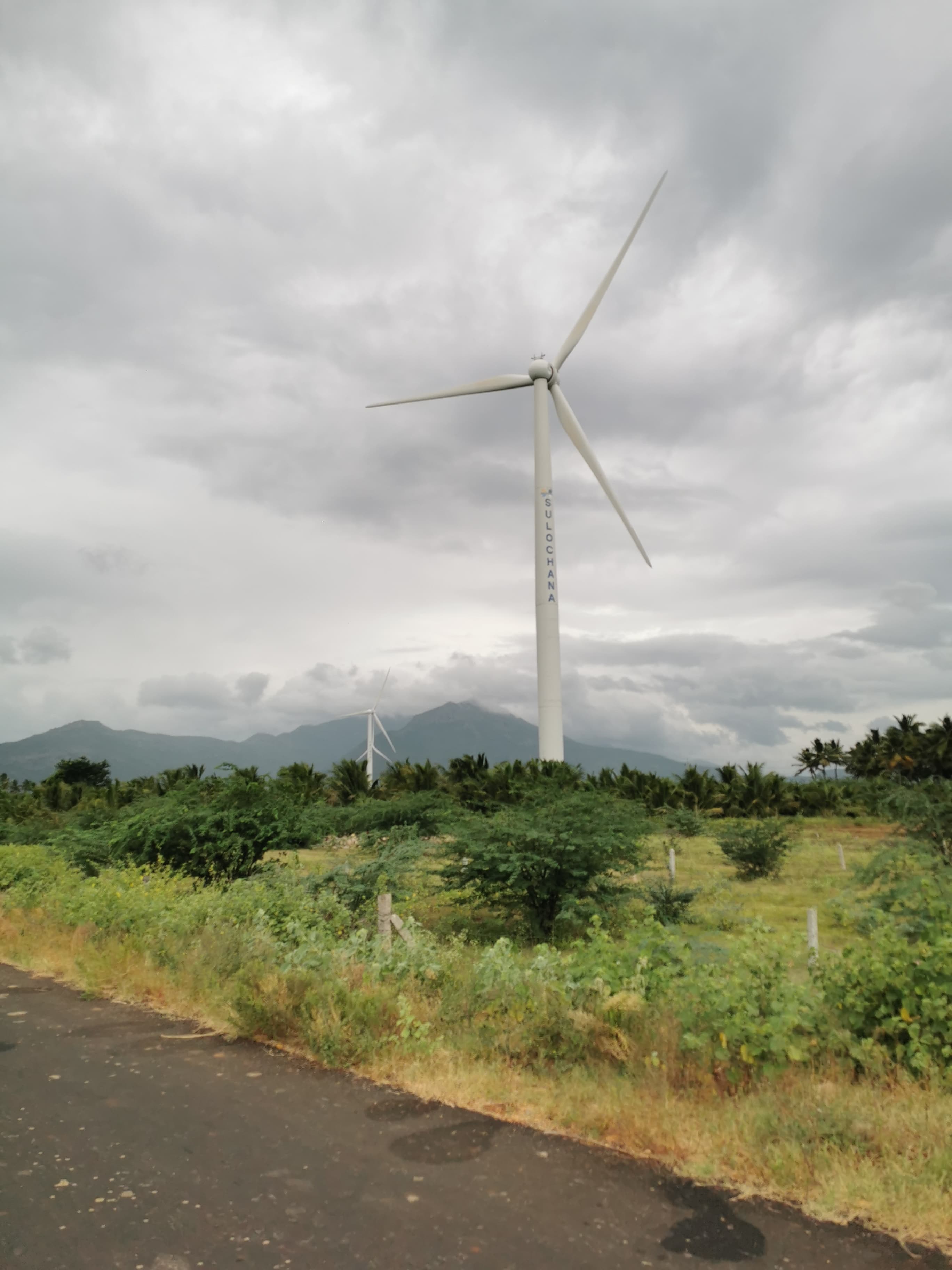 windmills
