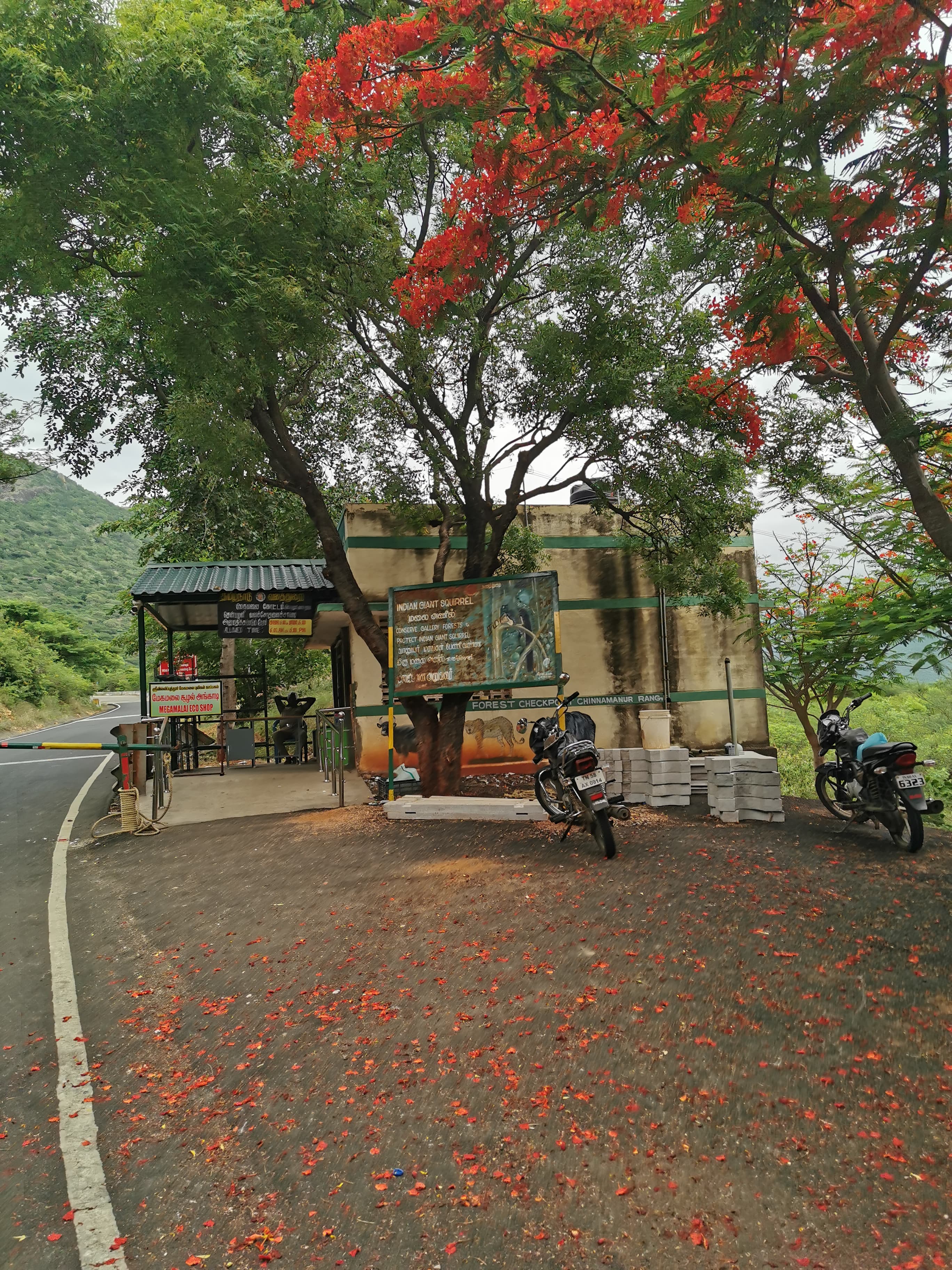 check post