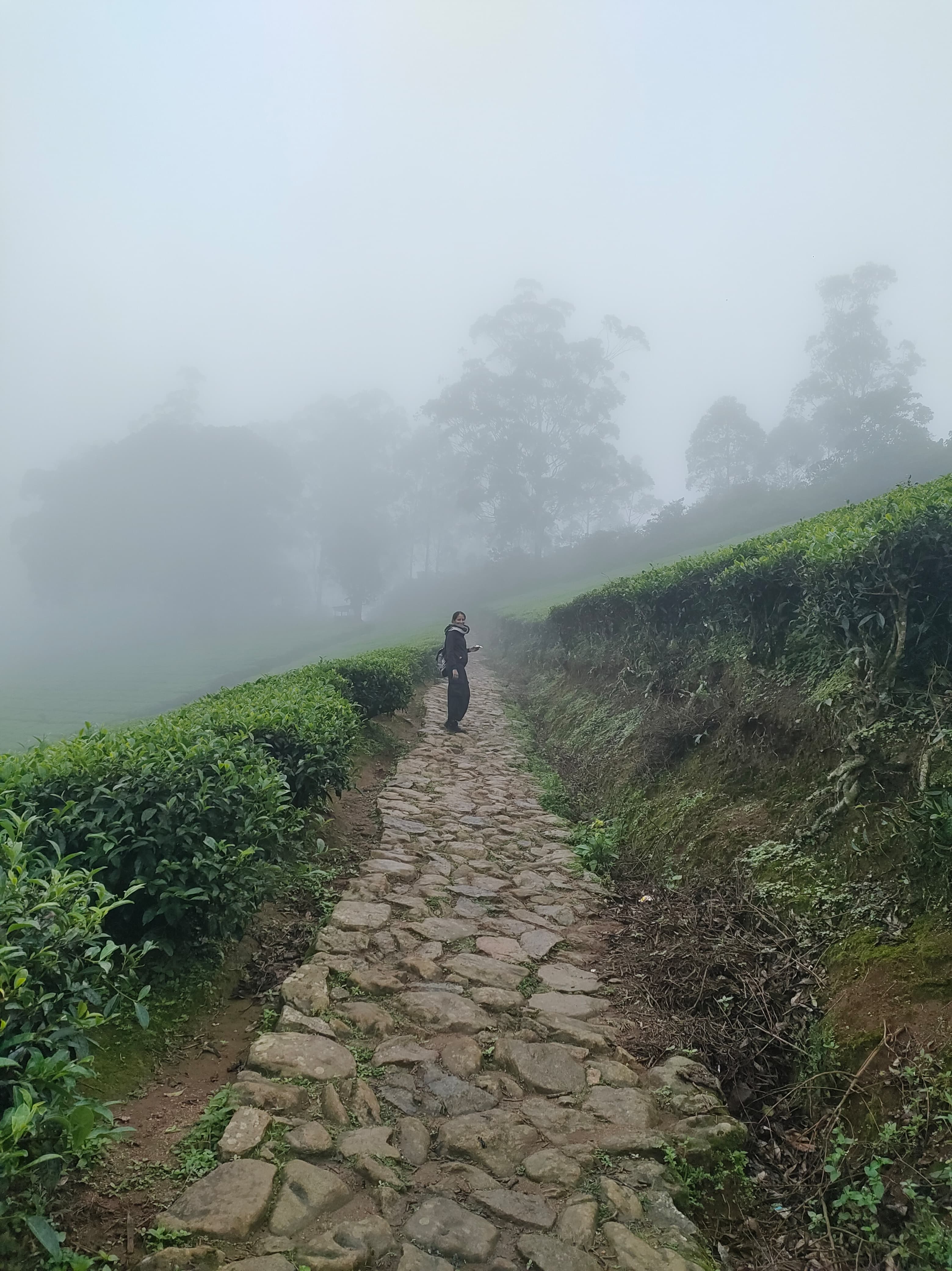 uphil to the megahmalai view point