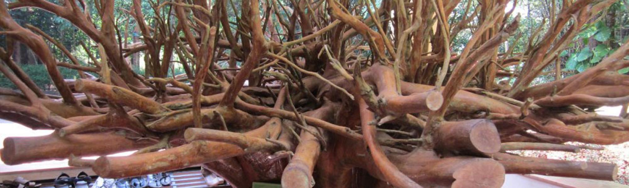 Nilambur, a natural beauty in Kerala BillionTrips