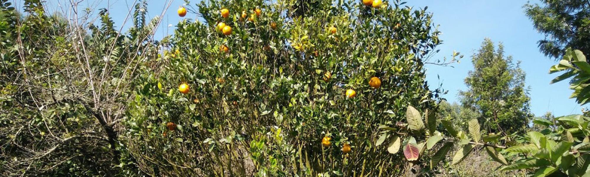 Kanthalloor Place known for its climate better than Munnar.