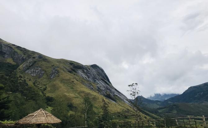 Eravikulam National Park Is open now !!!