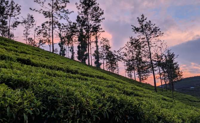 A trip to remember - OOTY 