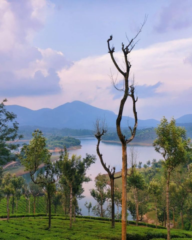 പെരിയാറിൻ്റെ തീരം തൊട്ട്  ഡാമുകൾ ചുറ്റിയോരു മൂന്നാർ യാത്ര #