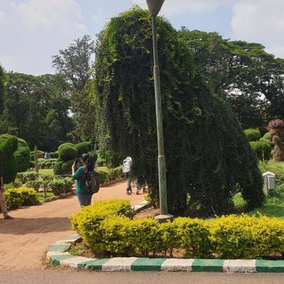 Lalbagh Botanical Garden