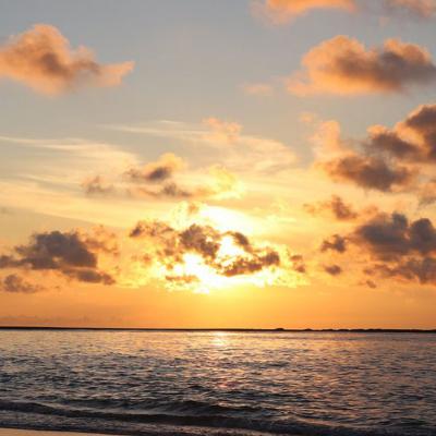 Dhanushkodi