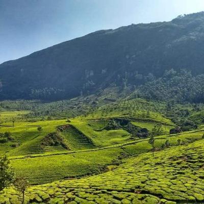 Munnar