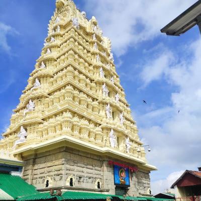 Mysore Travel Dairy