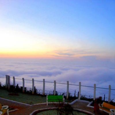 Foggy drive, amazing sunrise