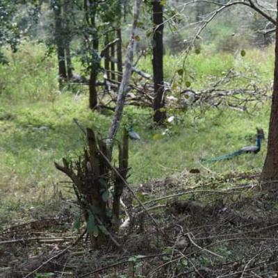 വയനാടിന്റെ മണ്ണിലേക്കുള്ള യാത്രാഅനുഭവം