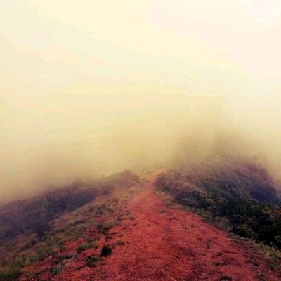 ഇടുക്കിയിലെ സ്വപ്ന ഭൂമിയായ മീശപ്പുലി മലയിലേക്ക്