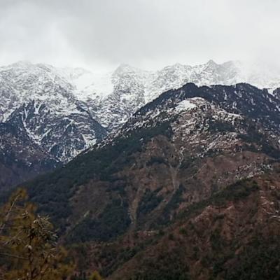 MCLEODGANJ [ Dhasa ] --> Where you feel the Tibetans culture 