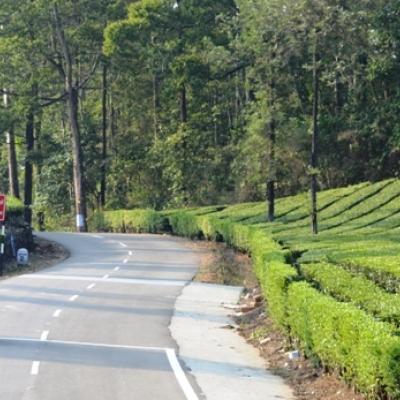 വാൽപ്പാറ-ആതിരപ്പള്ളി 