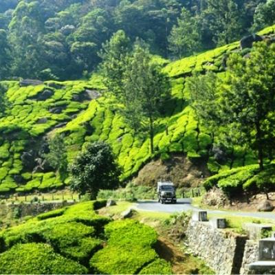 എന്നും കൊതിപ്പിക്കുന്ന മൂന്നാർ