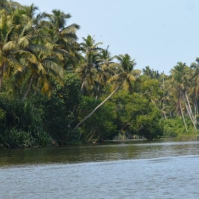 Poovar