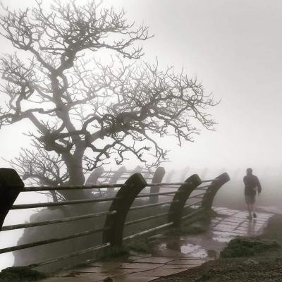 Malshej Ghat- A Monsoon Gateway