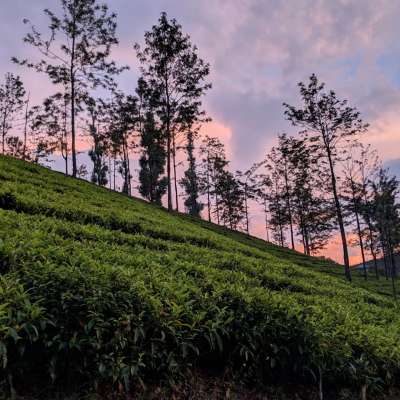 A trip to remember - OOTY