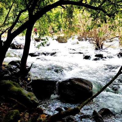 The Beauty of Meenvallam, Palakkad, Kerala.