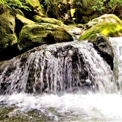 The Beauty of Dhoni Hill, Palakkad, Kerala