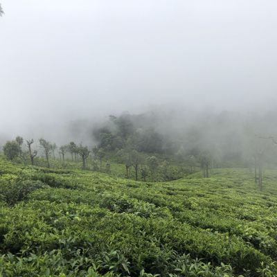 June 2018 solo trip to Ooty - Coorg