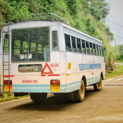 ഗവി ..ഒരു മിടുമിടുക്കി