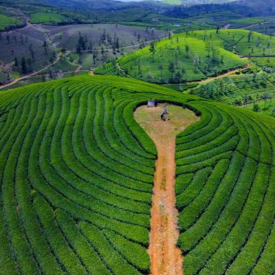 വാഗമണ്ണിലെ മനോഹരമായ തേയില ഗ്രാമങ്ങള്