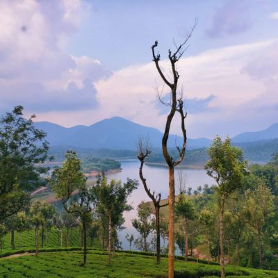 പെരിയാറിൻ്റെ തീരം തൊട്ട് ഡാമുകൾ ചുറ്റിയോരു മൂന്നാർ യാത്ര #